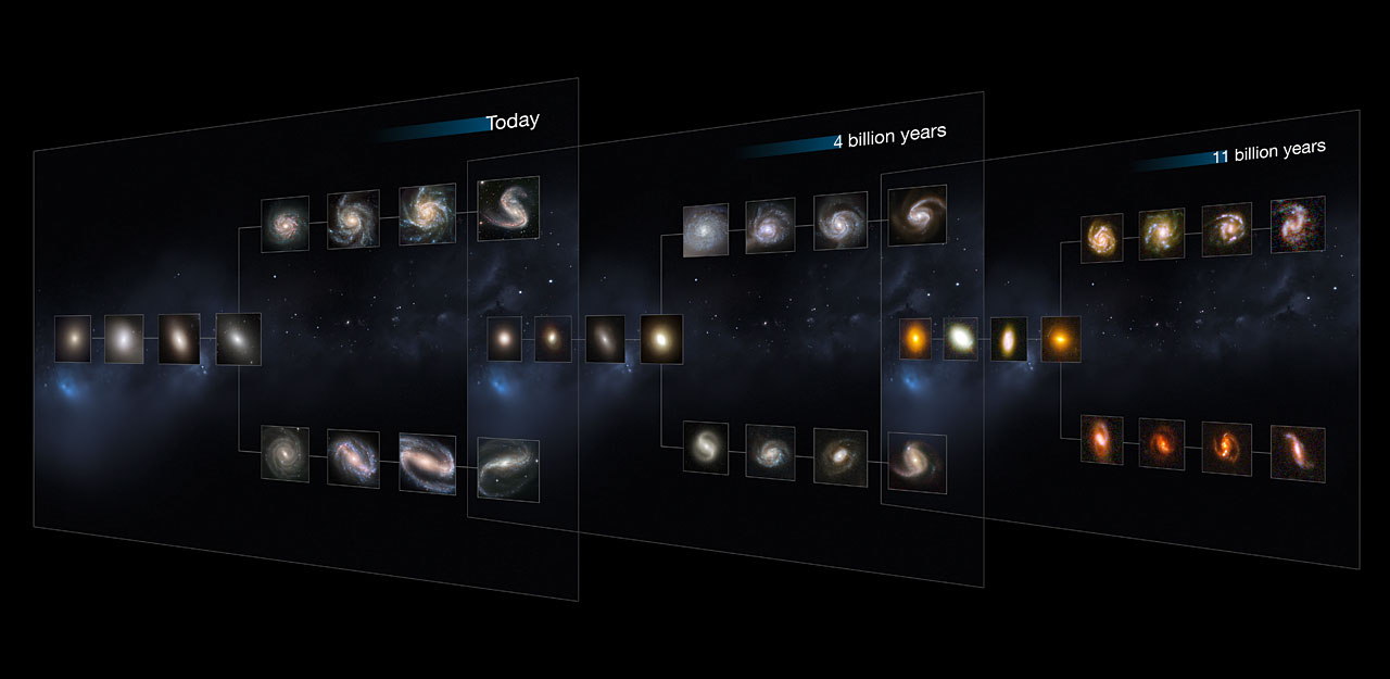 Galaxy Anatomy In Early Universe Was a 'Cosmic Zoo'